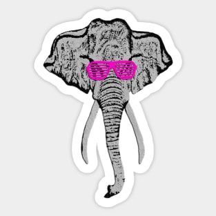 Elephant in the Room Sticker